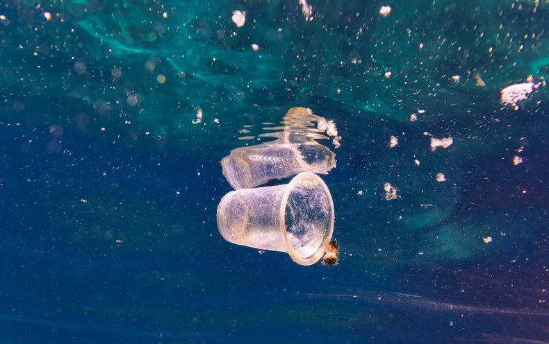 Plastic in the Depths: how pollution took over our oceans