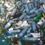 Plastic-munching bacteria offer hope for recycling