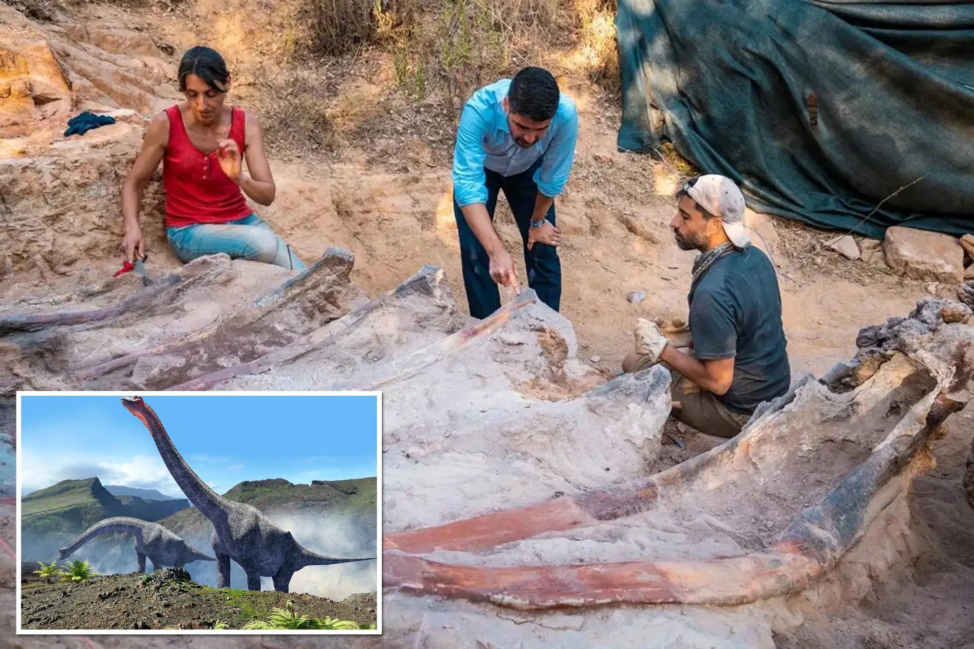 Dinosaur Skeleton Found In Portugal Man’s Backyard Could Be Europe’s Largest Ever Find: Report