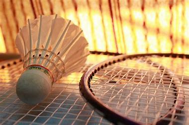 CWG 2022: India Win Silver In Badminton Mixed Team