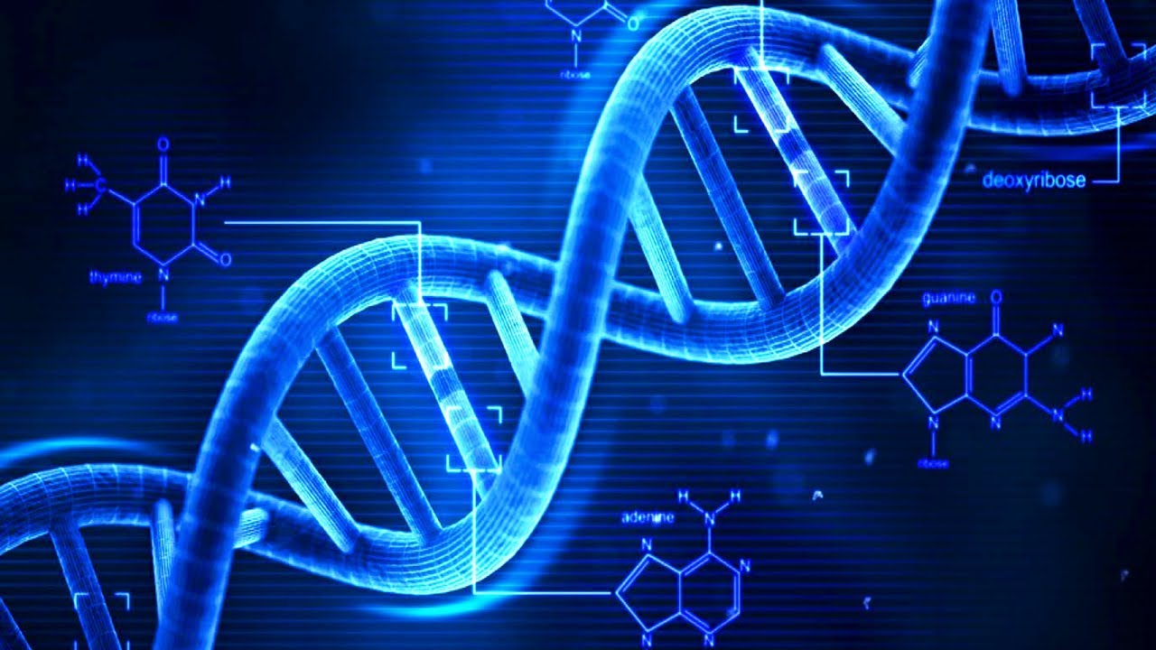 Gene scene Chennai start-up makes DNA extraction easy